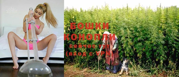 молекула духа Нея