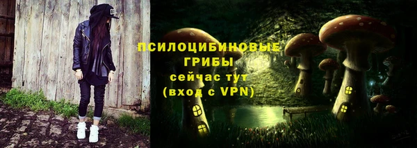 стаф Бугульма